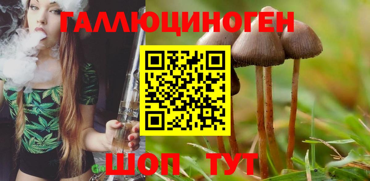 Балахна  Галлюциногенные грибы мухоморы  Вход с VPN 